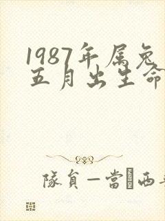 1987年属兔五月出生命运