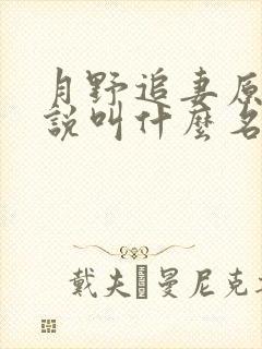 月野追妻原著小说叫什么名字