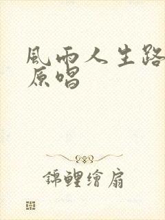 风雨人生路歌曲原唱