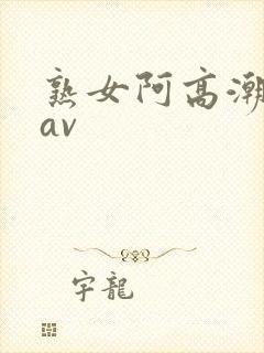 熟女阿高潮合集av