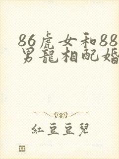 86虎女和88男龙相配婚姻如何封面