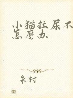 小猫拉尿不出来怎么办