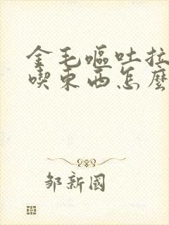 金毛呕吐拉稀不吃东西怎么办