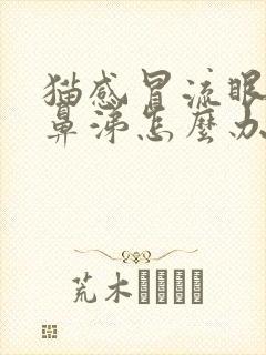 猫感冒流眼泪流鼻涕怎么办封面