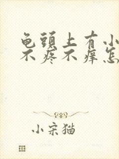 龟头上有小疙瘩不疼不痒怎么回事