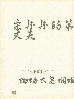 宋丹丹的第二任丈夫封面