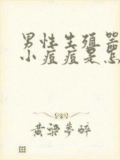 男性生殖器长了小痘痘是怎么回事封面