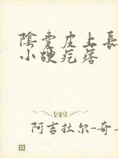 阴囊皮上长了个小硬疙瘩封面