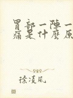 胃部一阵一阵绞痛是什么原因封面