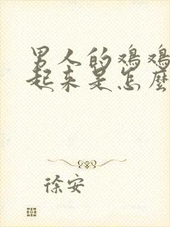 男人的鸡鸡硬不起来是怎么回事