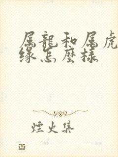 属龙和属虎的姻缘怎么样