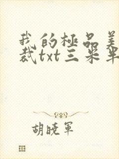 我的极品美女总裁txt三米半封面