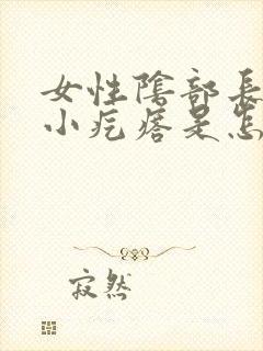 女性阴部长了个小疙瘩是怎么回事