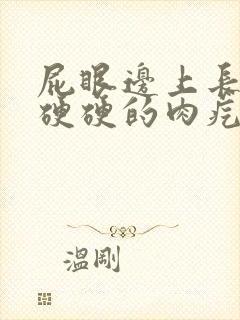 屁眼边上长了个硬硬的肉疙瘩