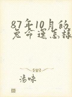 87年10月的兔命运怎样
