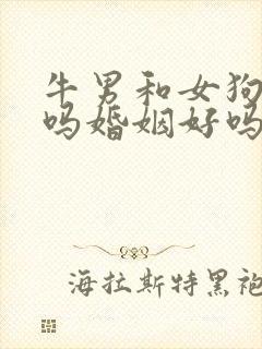 牛男和女狗相配吗婚姻好吗?