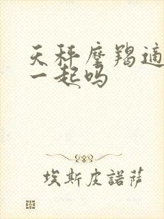 天秤摩羯适合在一起吗