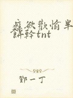 瘾欲欢愉半块小饼干tnt