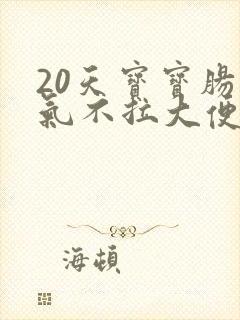 20天宝宝肠胀气不拉大便