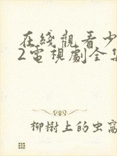 在线观看少年派2电视剧全集免费