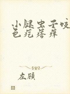 小腿虫子咬了红色疙瘩痒封面