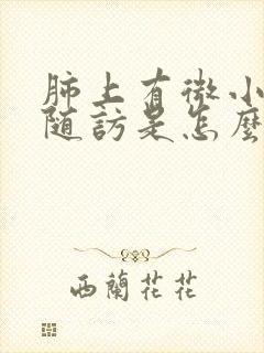 肺上有微小结节随访是怎么回事