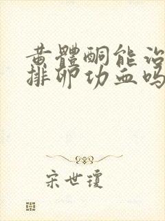 黄体酮能治疗无排卵功血吗封面