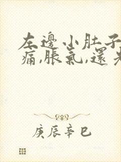 左边小肚子按压痛,胀气,还光放屁封面