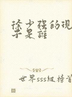 徐少强的现任妻子是谁