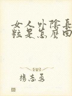 女人外阴长硬颗粒是怎么回事