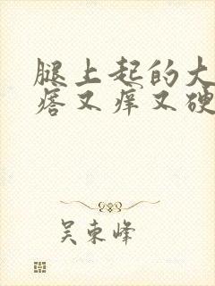 腿上起的大红疙瘩又痒又硬