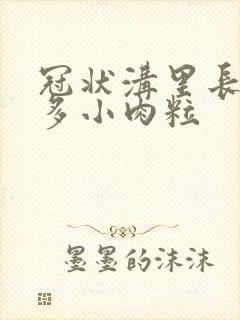 冠状沟里长了许多小肉粒