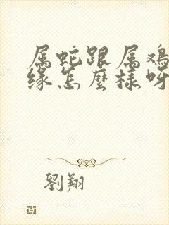 属蛇跟属鸡的姻缘怎么样呀