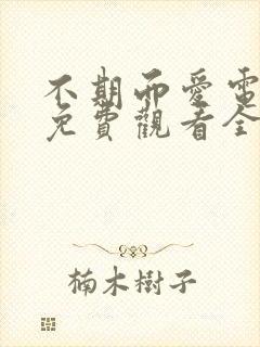 不期而爱电视剧免费观看全集剧情