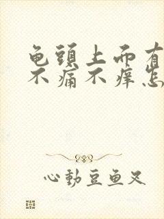 龟头上面有红斑不痛不痒怎么回事封面