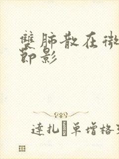 双肺散在微小结节影