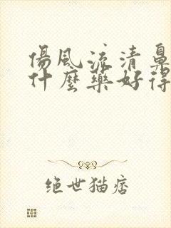 伤风流清鼻涕吃什么药好得快封面