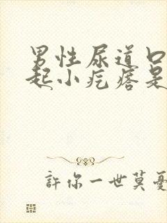 男性尿道口外面起小疙瘩是怎么回事封面