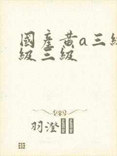 国产黄a三级三级三级封面