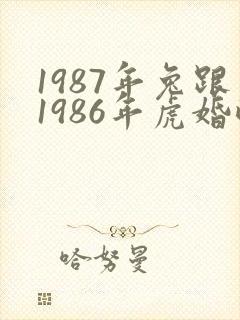 1987年兔跟1986年虎婚配