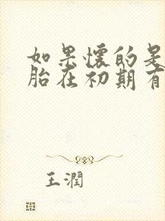 如果怀的是双胞胎在初期有什么表现封面