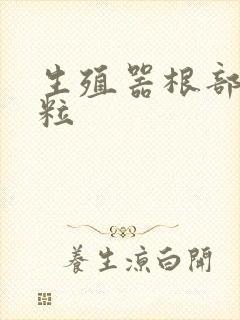 生殖器根部长肉粒