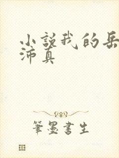 小说我的岳母苏沛真