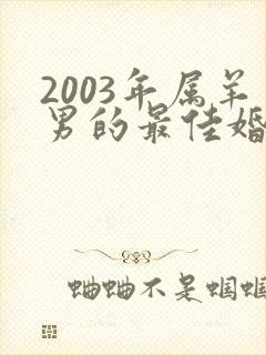 2003年属羊男的最佳婚配封面