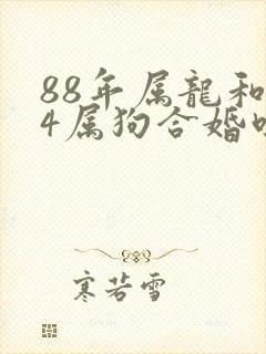 88年属龙和94属狗合婚吗
