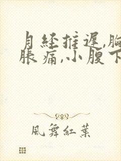 月经推迟,胸部胀痛,小腹下坠痛是什么原因封面