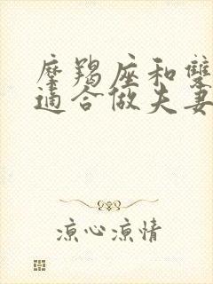 摩羯座和双子座适合做夫妻吗