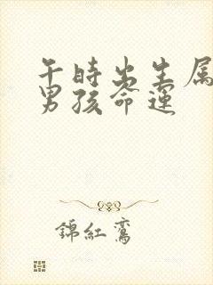 午时出生属虎的男孩命运