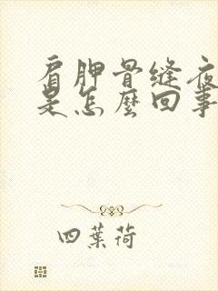 肩胛骨缝夜间疼是怎么回事封面