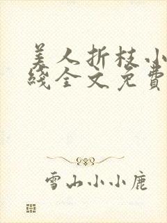 美人折枝小说在线全文免费